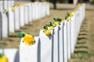 Roses on top of the gravestones at Arlington National Cemetery