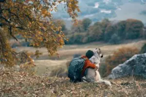 woman hiker hugging with dog on nature in the mountains travel friendship